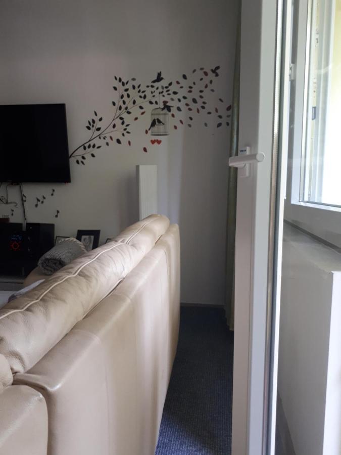 Apartment Iggory Pula Extérieur photo
